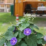 Mina - Rattendorf Daire