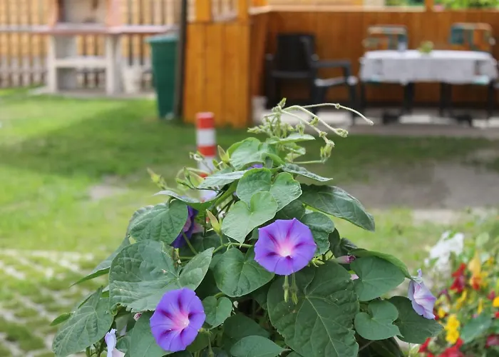 Mina - Rattendorf Lejlighed